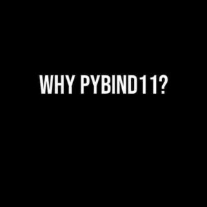 Why Pybind11?